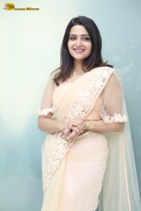 Telugu Actress Divya Pillai in a light pink saree posing for pictures