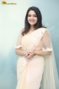 Telugu Actress Divya Pillai in a light pink saree posing for pictures