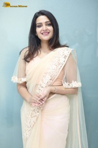 Telugu Actress Divya Pillai in a light pink saree posing for pictures
