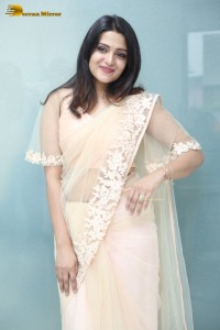 Telugu Actress Divya Pillai in a light pink saree posing for pictures