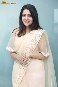 Telugu Actress Divya Pillai in a light pink saree posing for pictures