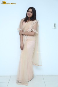 Telugu Actress Divya Pillai in a light pink saree posing for pictures