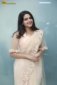 Telugu Actress Divya Pillai in a light pink saree posing for pictures