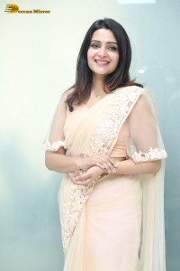 Telugu Actress Divya Pillai in a light pink saree posing for pictures