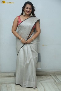 actress Ester Noronha hot in a silver saree