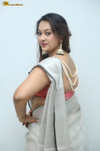 actress Ester Noronha hot in a silver saree
