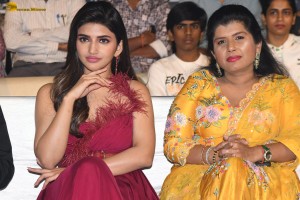 Extra Ordinary Man Pre-Release Function attended by Nithin, Sreeleela, Rajashekar, Jeevitha, and others