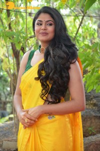 Actress Faria Abdullah in a Yellow Saree and a Green Blouse