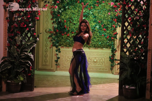 Gehana Vasisth from her Arabic Song in a Telugu Movie