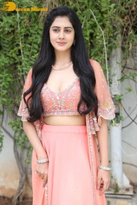 Telugu heroine Gehna Sipply glamorous look in a photoshoot