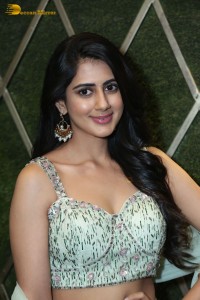 Actress Gehna Sippy in a light green lehenga choli