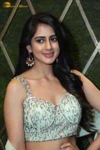 Actress Gehna Sippy in a light green lehenga choli