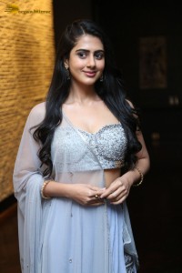 Indian Actress Gehna Sippy in a Lehenga Choli dress attending a movie function