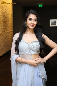 Indian Actress Gehna Sippy in a Lehenga Choli dress attending a movie function