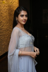 Indian Actress Gehna Sippy in a Lehenga Choli dress attending a movie function