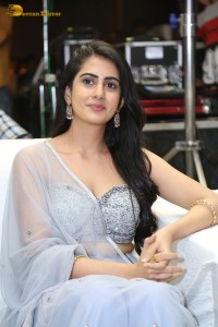 Indian Actress Gehna Sippy in a Lehenga Choli dress attending a movie function