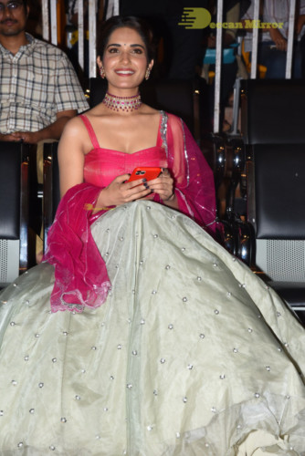 Telugu Movie HIT prerelease function in Vizag