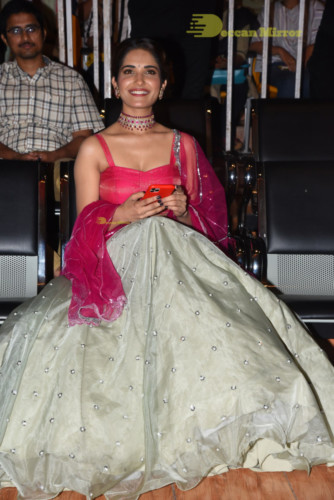 Telugu Movie HIT prerelease function in Vizag