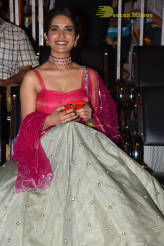 Telugu Movie HIT prerelease function in Vizag