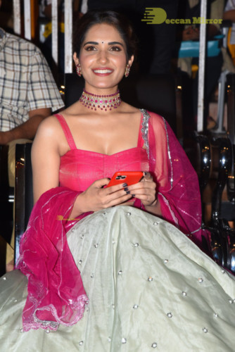 Telugu Movie HIT prerelease function in Vizag