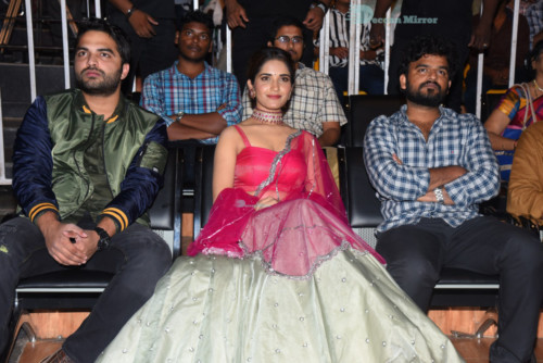 Telugu Movie HIT prerelease function in Vizag