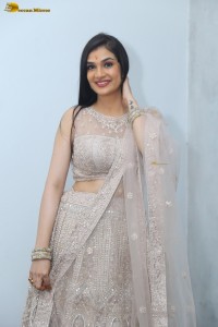 actress Hassini Sudhir in a silver color lehenga choli dress