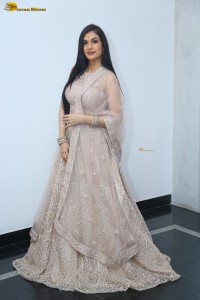 actress Hassini Sudhir in a silver color lehenga choli dress