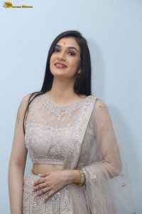 actress Hassini Sudhir in a silver color lehenga choli dress
