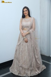 actress Hassini Sudhir in a silver color lehenga choli dress