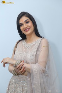 actress Hassini Sudhir in a silver color lehenga choli dress