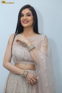 actress Hassini Sudhir in a silver color lehenga choli dress