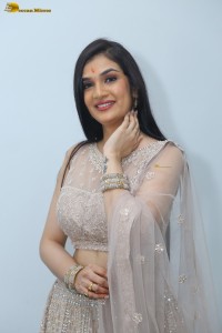 actress Hassini Sudhir in a silver color lehenga choli dress
