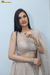actress Hassini Sudhir in a silver color lehenga choli dress
