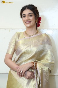 actress Hassini Sudhir in a gold color saree