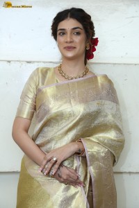 actress Hassini Sudhir in a gold color saree