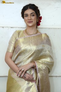 actress Hassini Sudhir in a gold color saree