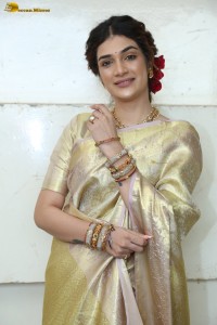 actress Hassini Sudhir in a gold color saree