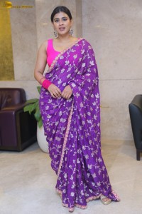 actress Hebah Patel stylish in a pink blouse and purple saree