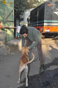 Siddharth Malhotra, Shilpa Shetty, and Vivek Oberoi promote Indian Police Force on Jan 24, 2024