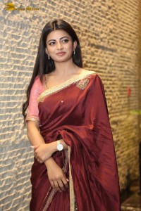 Itlu Maredumilli Prajaneekam Pre-Release attended by Allari Naresh and Anandhi