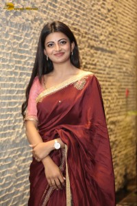 Itlu Maredumilli Prajaneekam Pre-Release attended by Allari Naresh and Anandhi