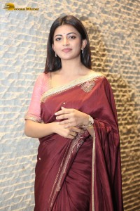 Itlu Maredumilli Prajaneekam Pre-Release attended by Allari Naresh and Anandhi