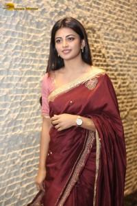 Itlu Maredumilli Prajaneekam Pre-Release attended by Allari Naresh and Anandhi