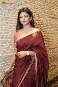 Itlu Maredumilli Prajaneekam Pre-Release attended by Allari Naresh and Anandhi