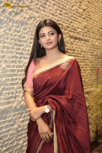 Itlu Maredumilli Prajaneekam Pre-Release attended by Allari Naresh and Anandhi