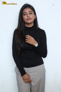 Itlu Maredumilli Prajaneekam Press Meet attended by Allari Naresh and Anandhi