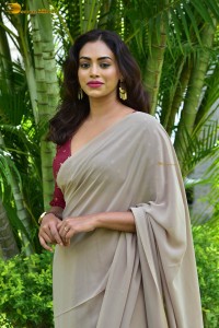 Indian actress kamakshi bhaskarla sexy photoshoot in a grey saree