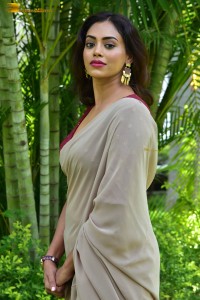 Indian actress kamakshi bhaskarla sexy photoshoot in a grey saree
