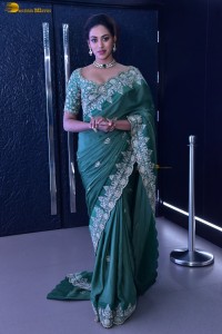 actress Kamakshi Bhaskarla ravishing in a green saree