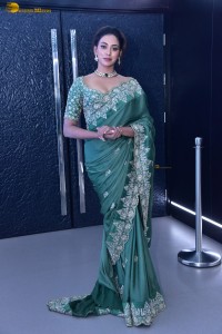 actress Kamakshi Bhaskarla ravishing in a green saree